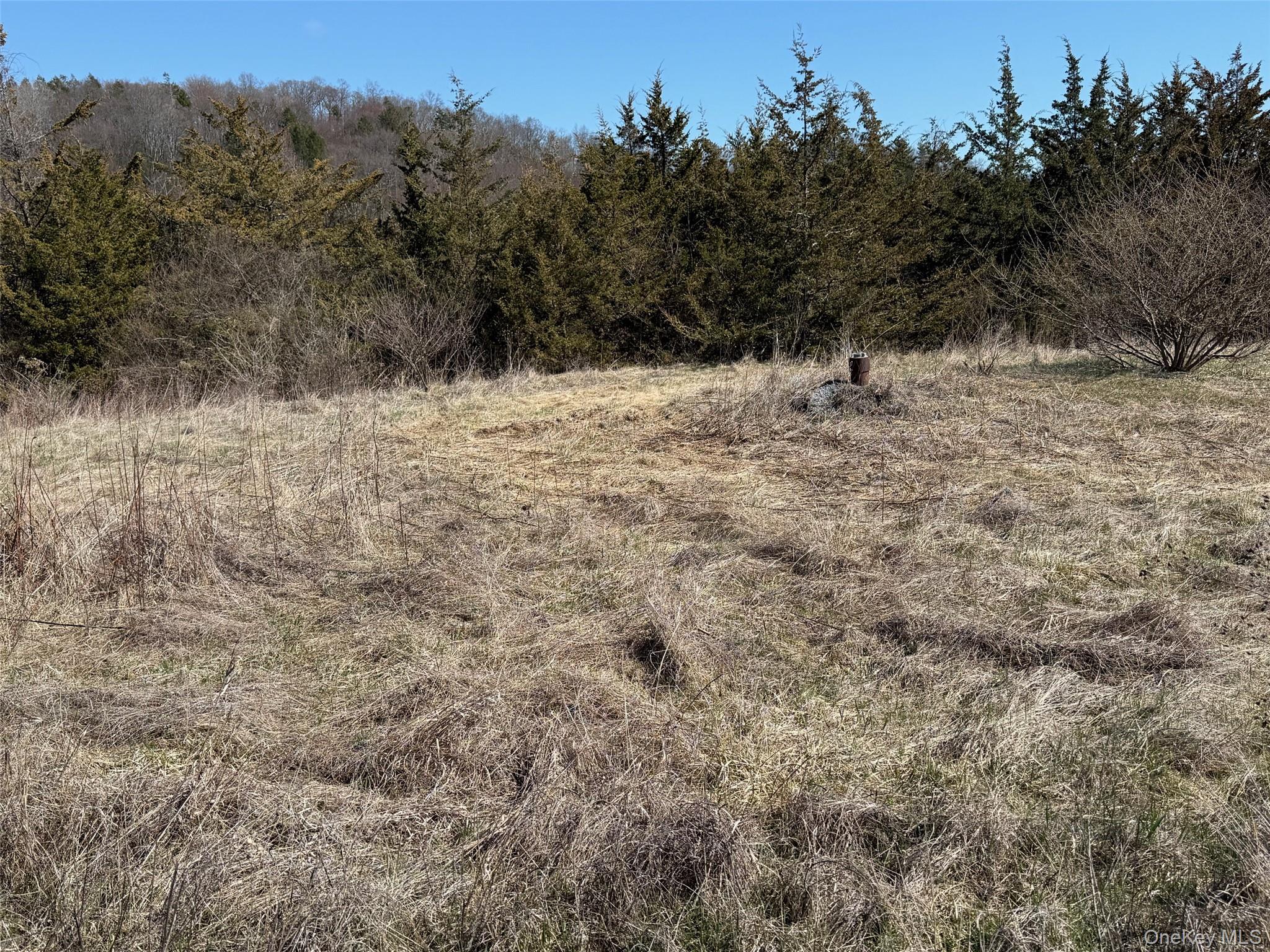 #2 Lot #2 Westerly Ridge Drive, Amenia, NY 12501