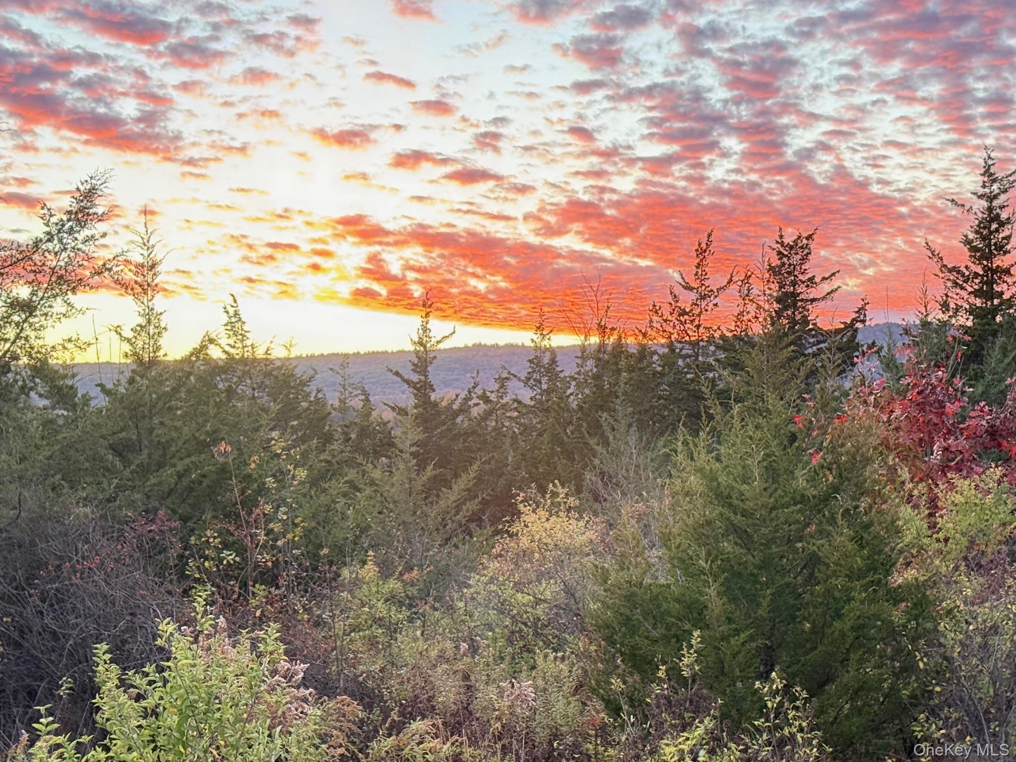 #2 Lot #2 Westerly Ridge Drive, Amenia, NY 12501