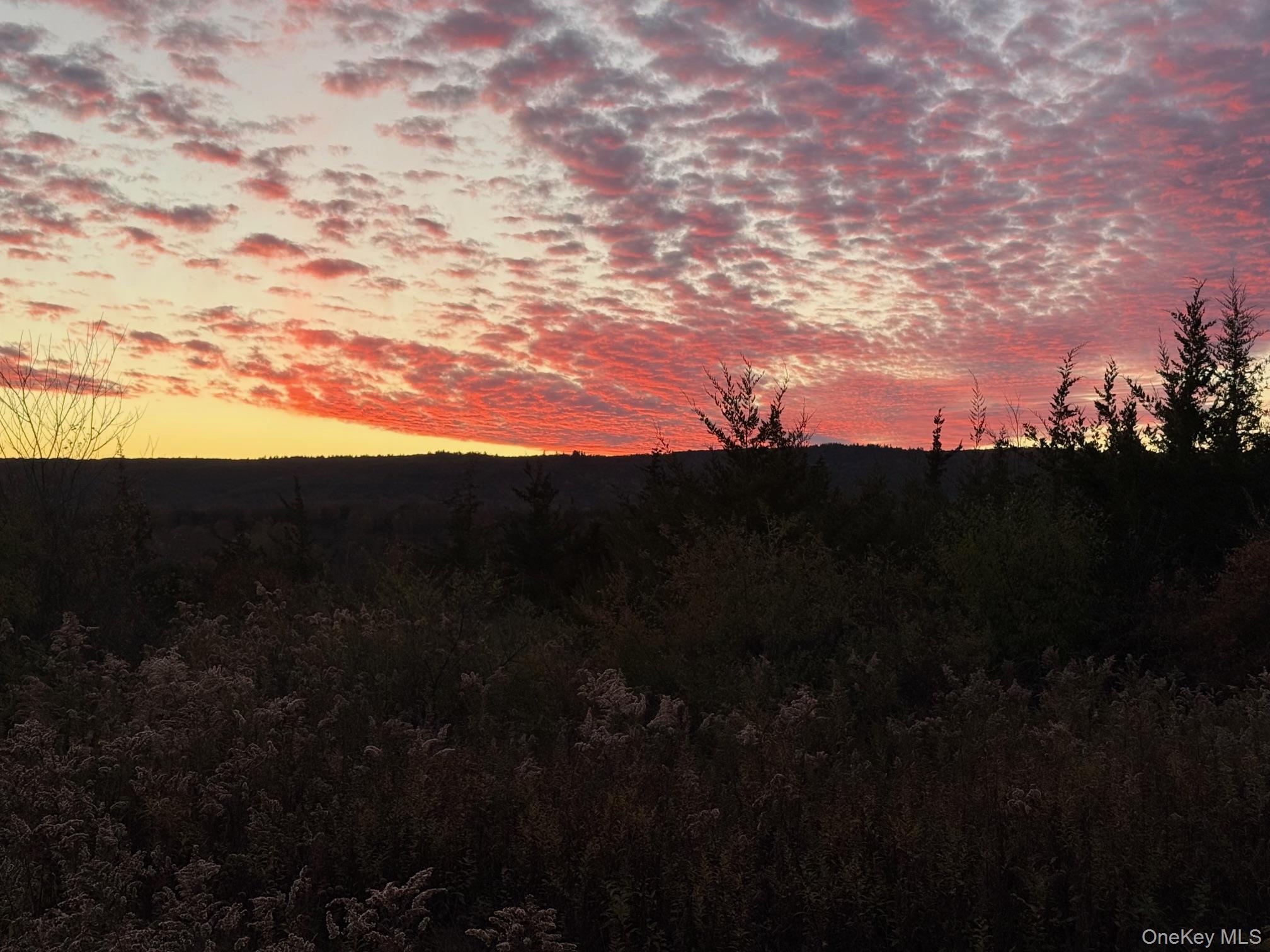 #2 Lot #2 Westerly Ridge Drive, Amenia, NY 12501