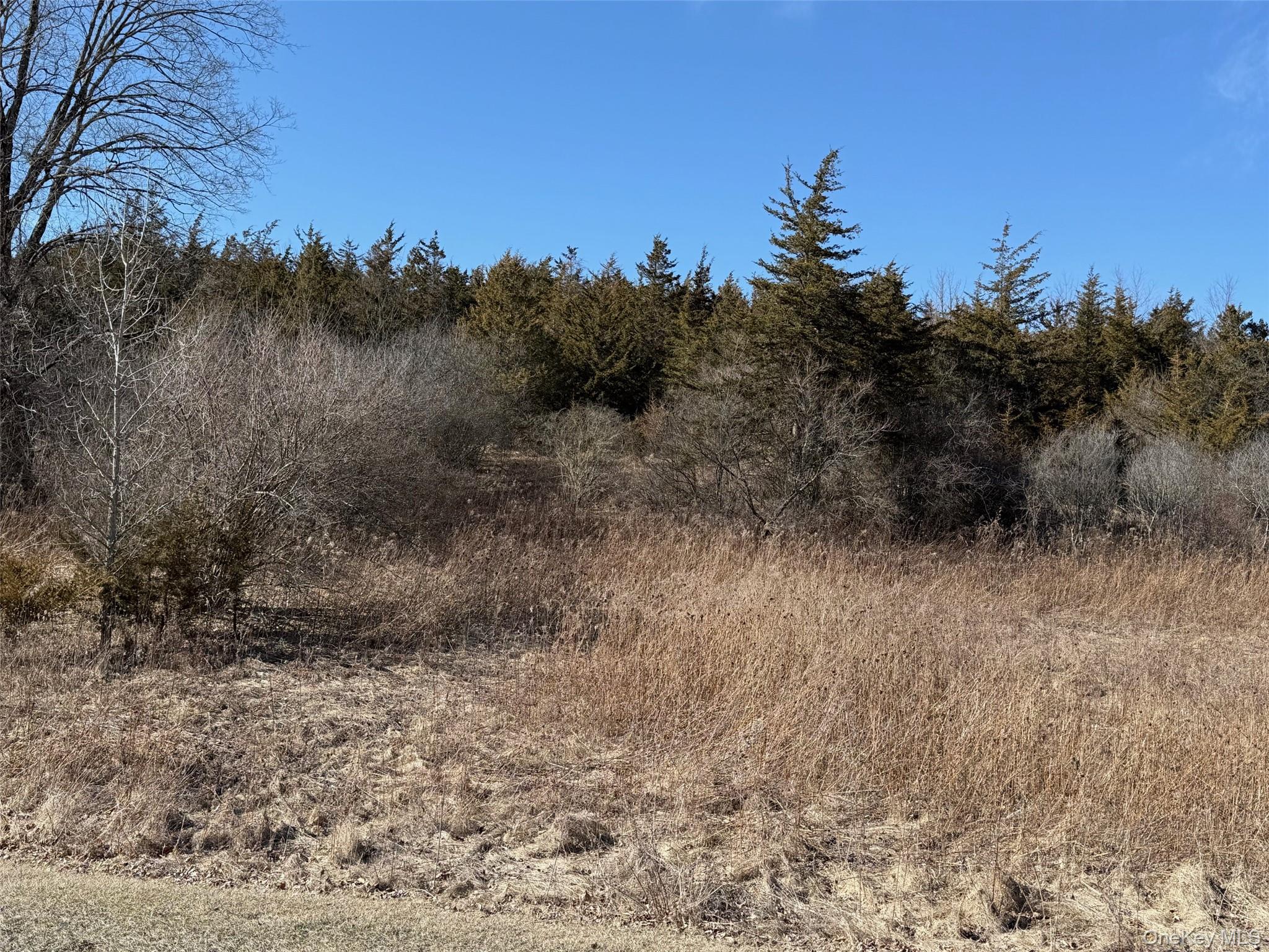 #2 Lot #2 Westerly Ridge Drive, Amenia, NY 12501