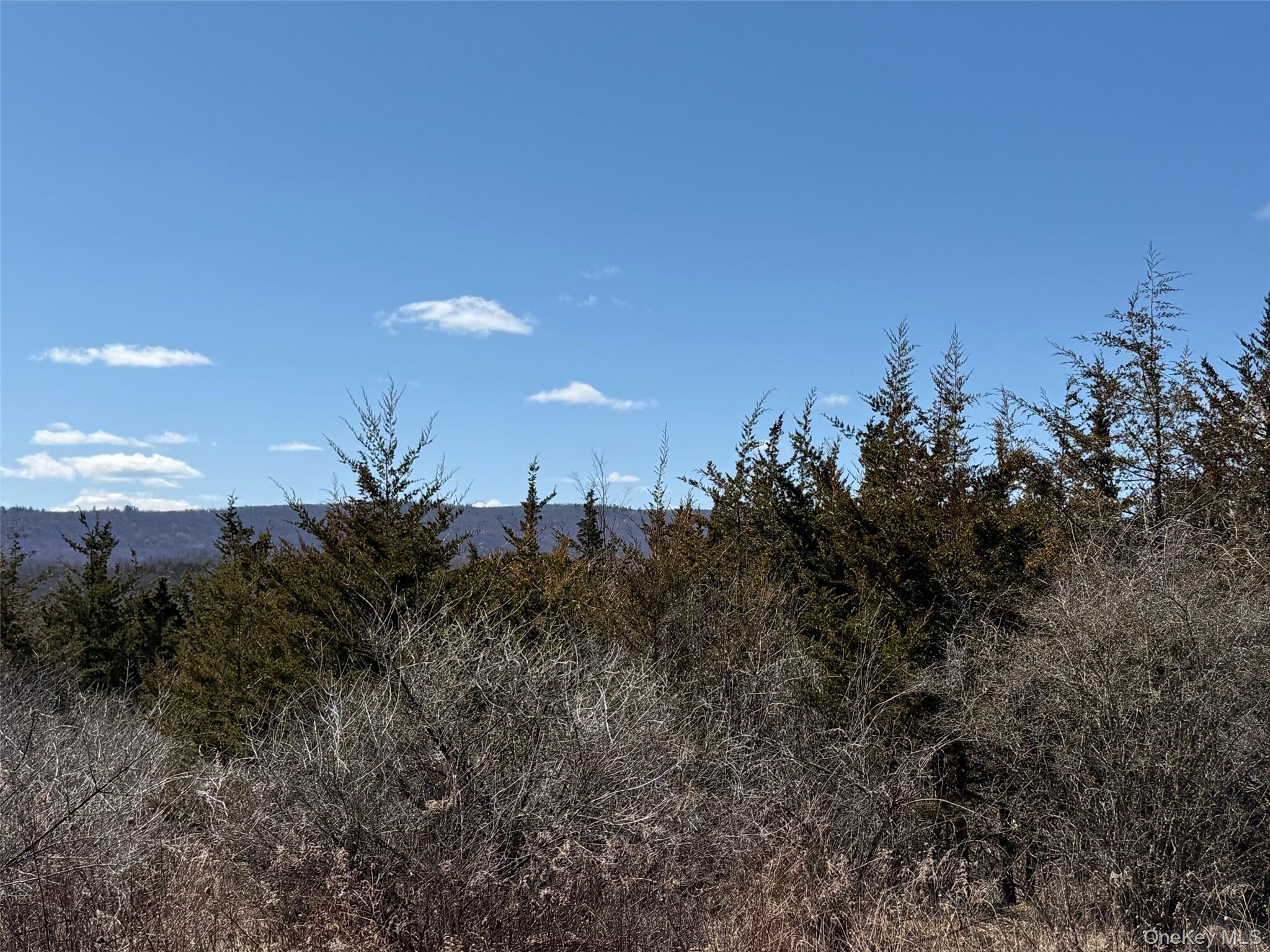 #2 Lot #2 Westerly Ridge Drive, Amenia, NY 12501