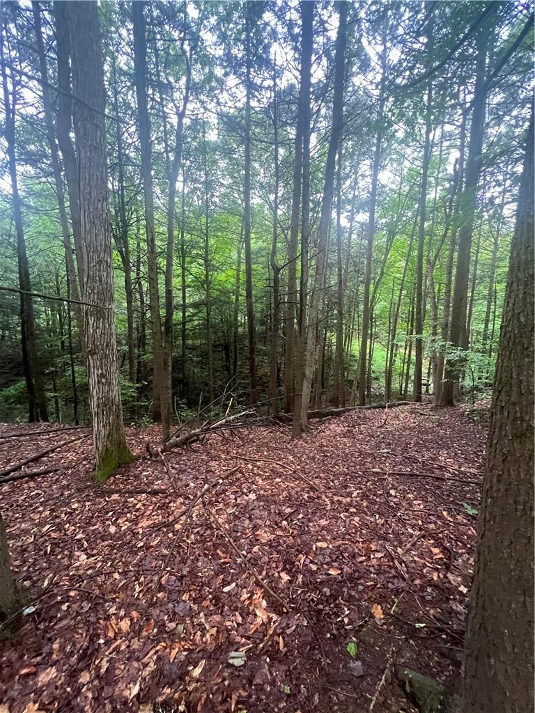 000 Little Hollow Road, Grahamsville, NY 12740