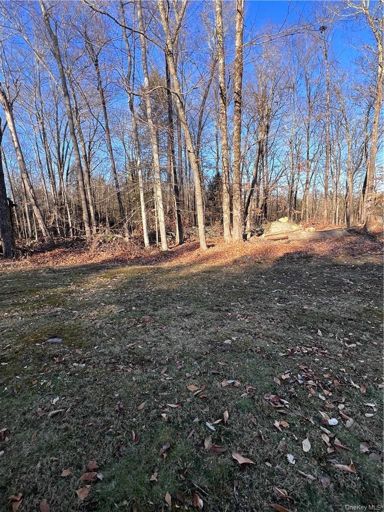 45 W Adirondack Trail, Smallwood, NY 12778