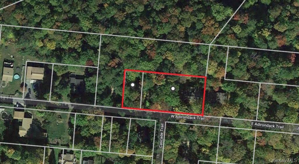 45 W Adirondack Trail, Smallwood, NY 12778