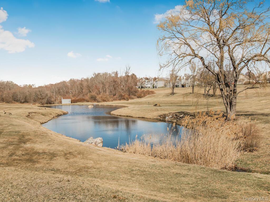 178 Fairway Drive # U178, Carmel, NY 10512