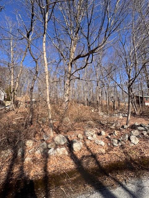 110 Rushmore Road, Hopewell Junction, NY 12582