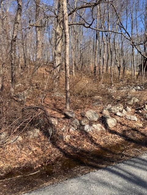 110 Rushmore Road, Hopewell Junction, NY 12582