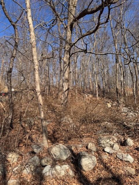 110 Rushmore Road, Hopewell Junction, NY 12582