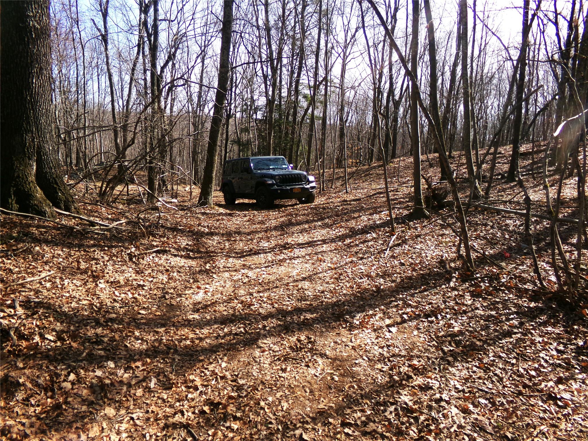 303 Hicks Hill Road, Stanfordville, NY 12582