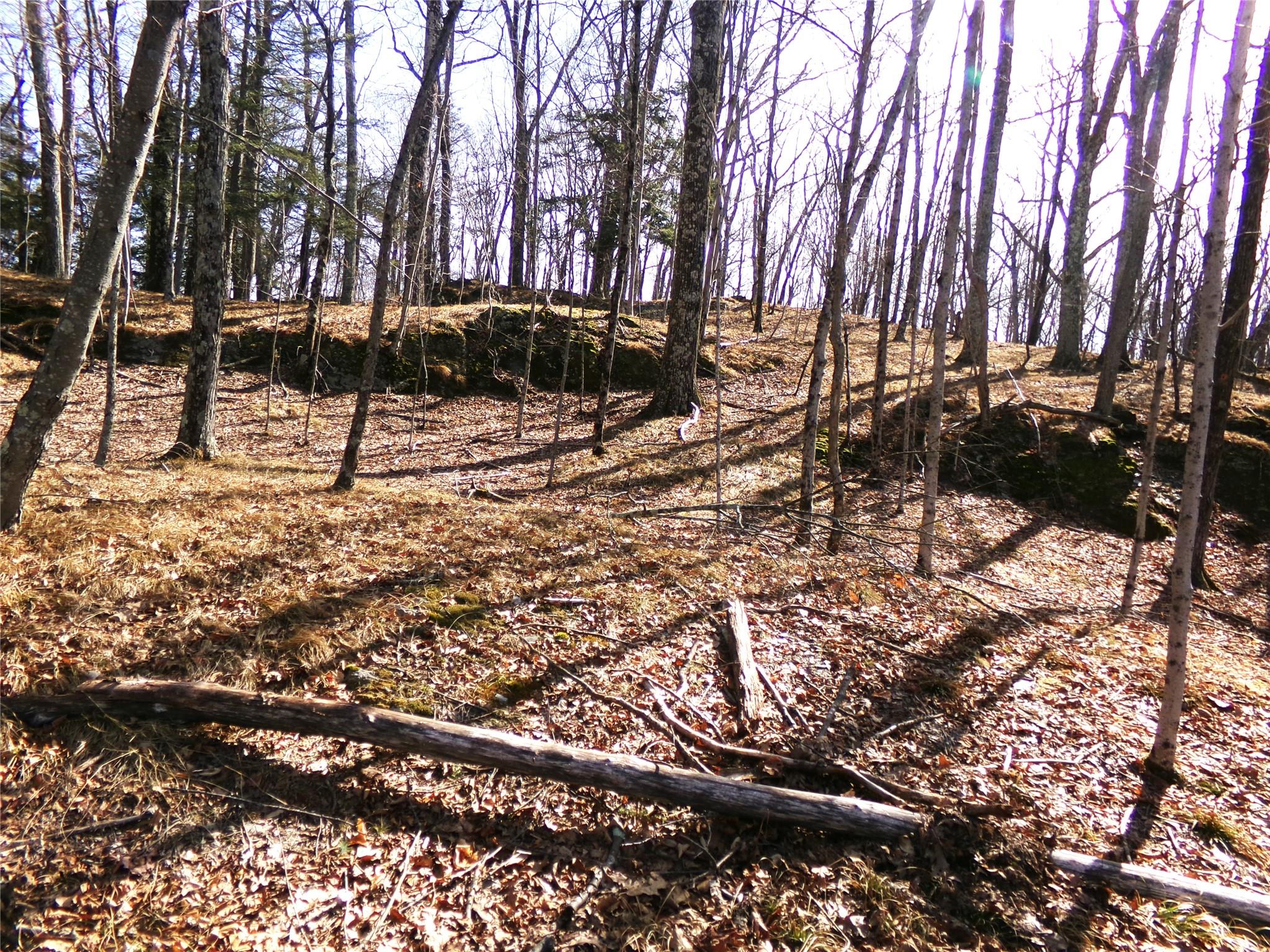 303 Hicks Hill Road, Stanfordville, NY 12582