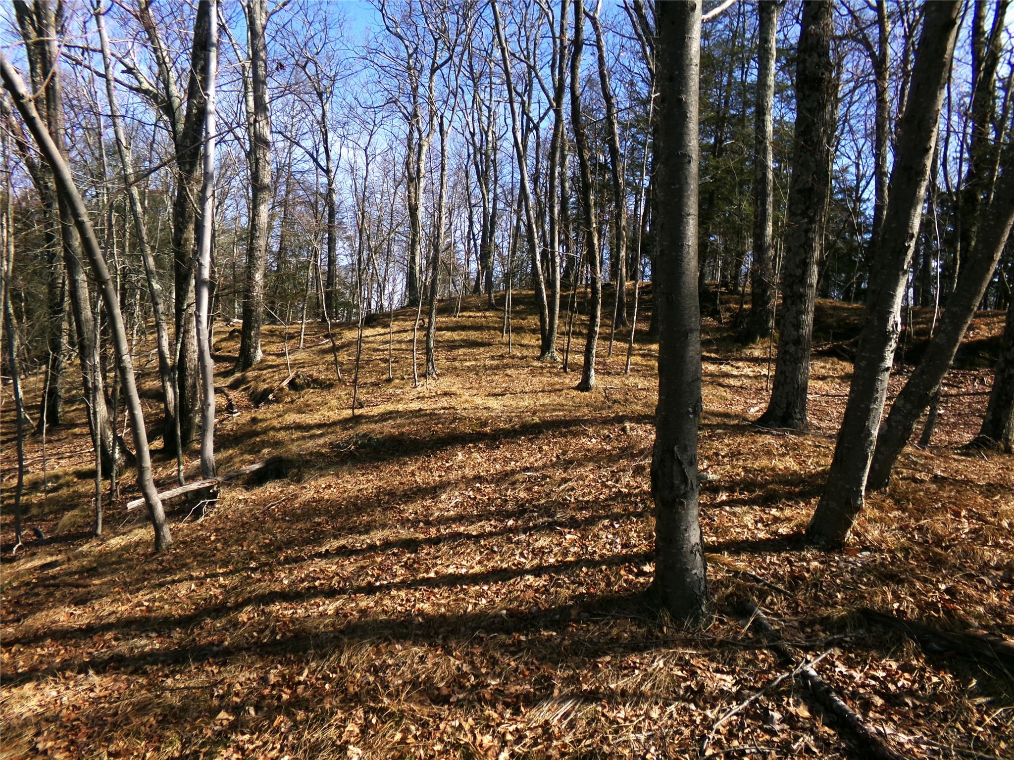 303 Hicks Hill Road, Stanfordville, NY 12582