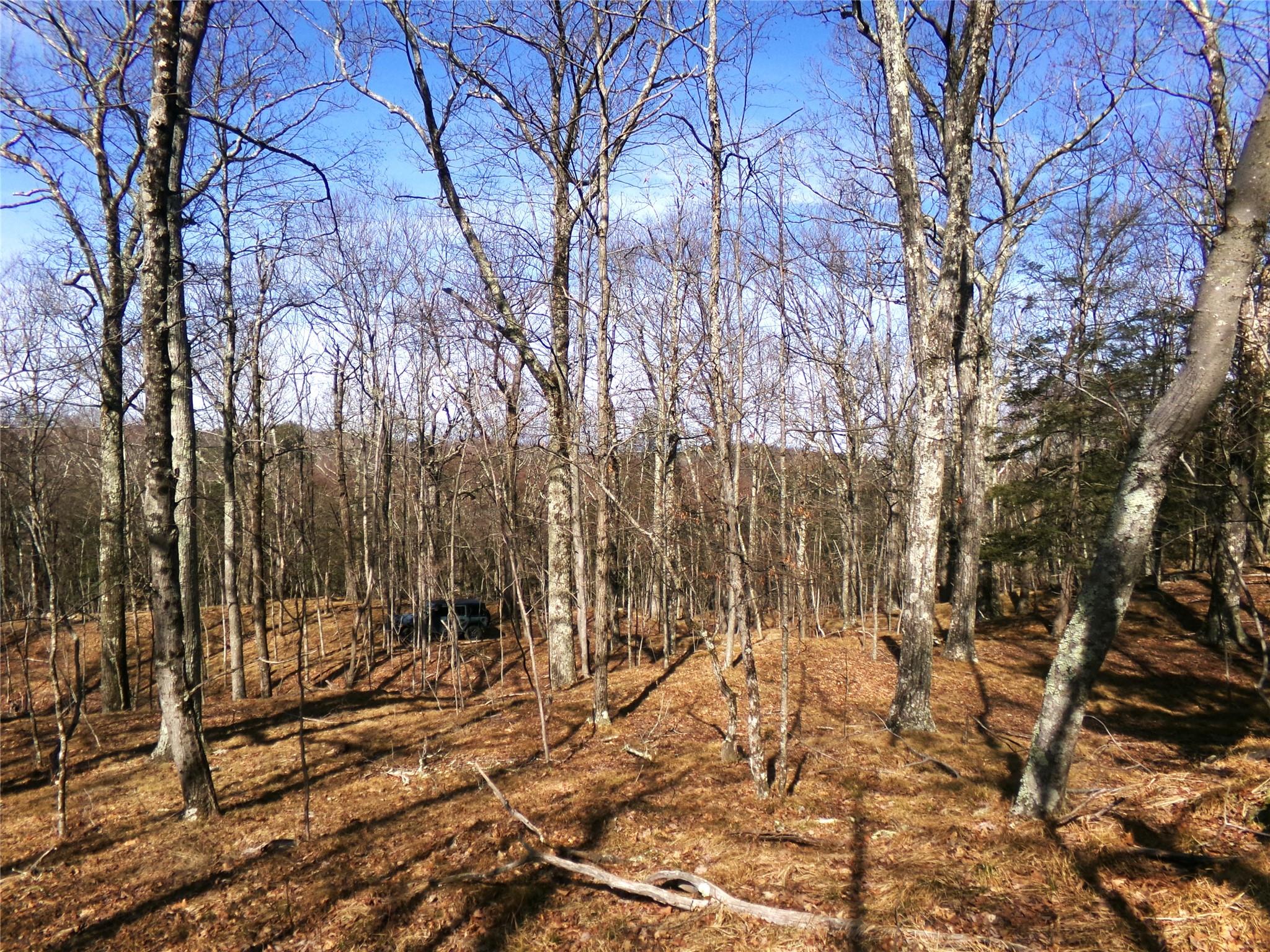 303 Hicks Hill Road, Stanfordville, NY 12582