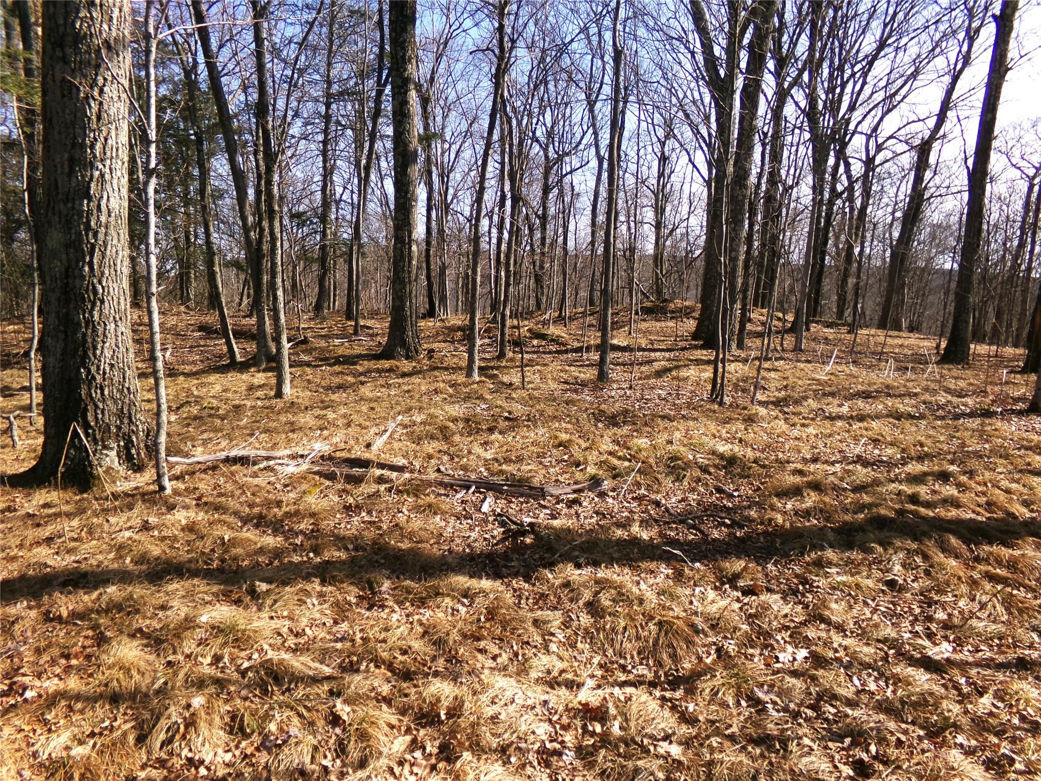 303 Hicks Hill Road, Stanfordville, NY 12582