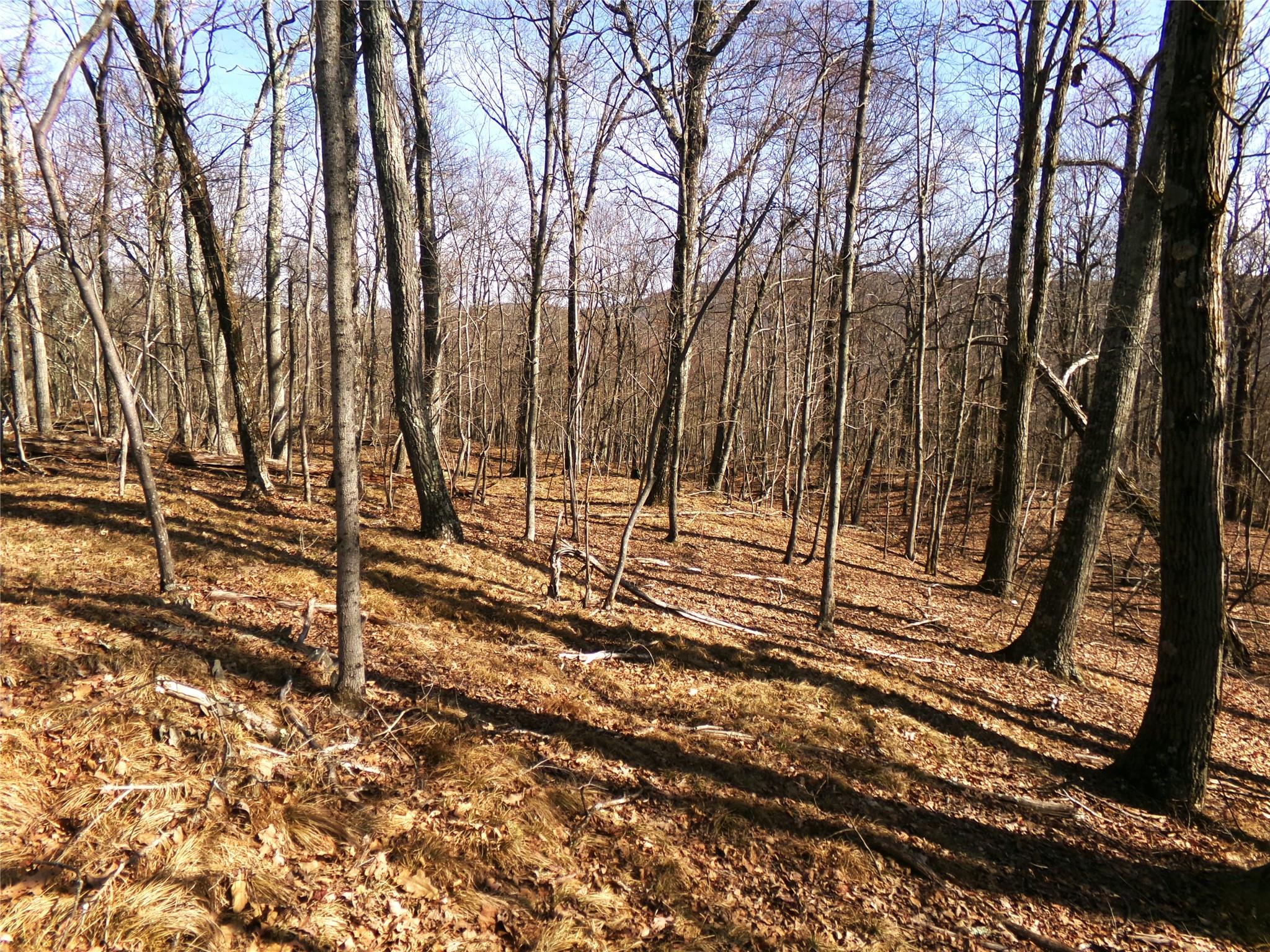 303 Hicks Hill Road, Stanfordville, NY 12582