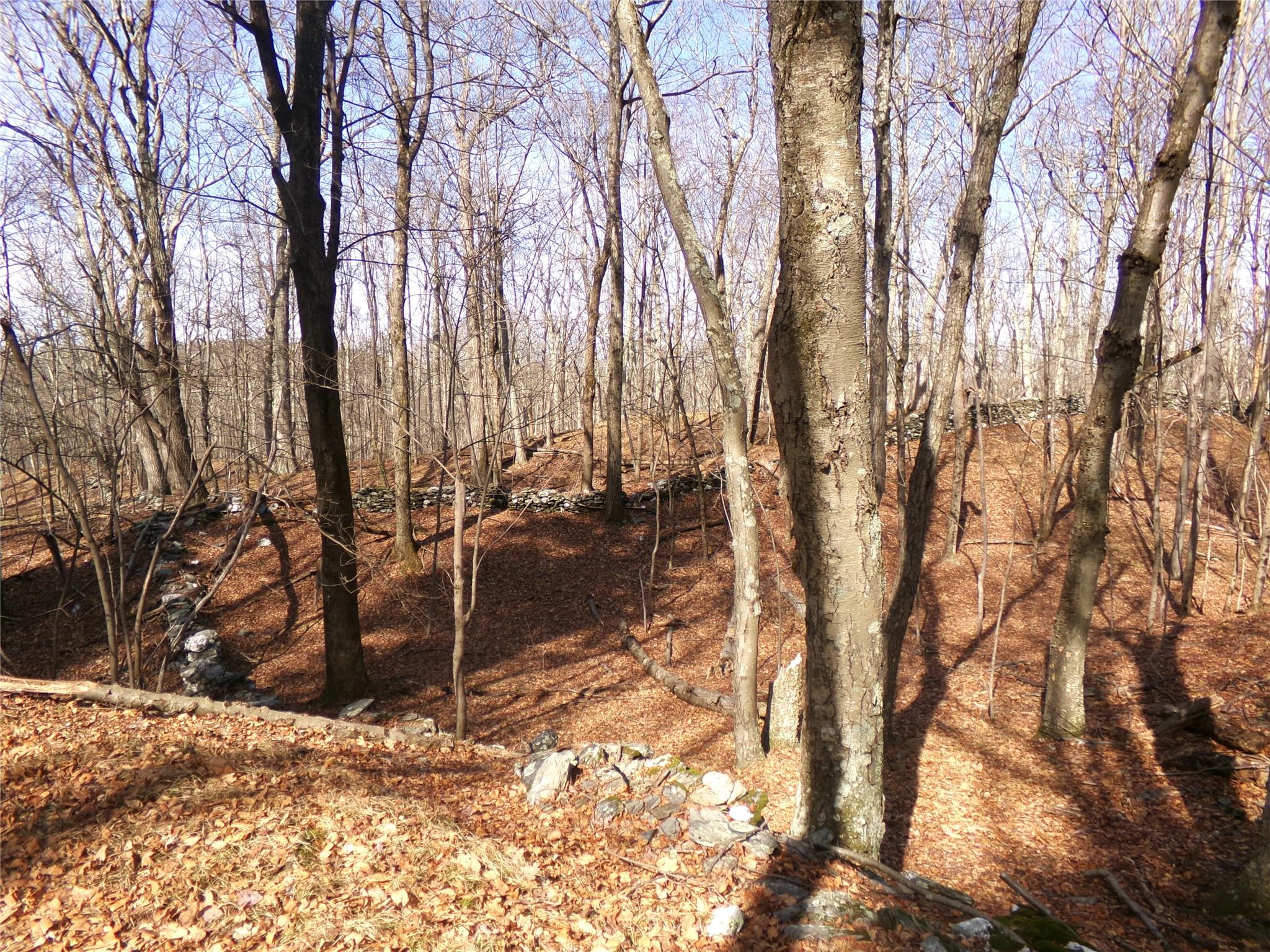 303 Hicks Hill Road, Stanfordville, NY 12582