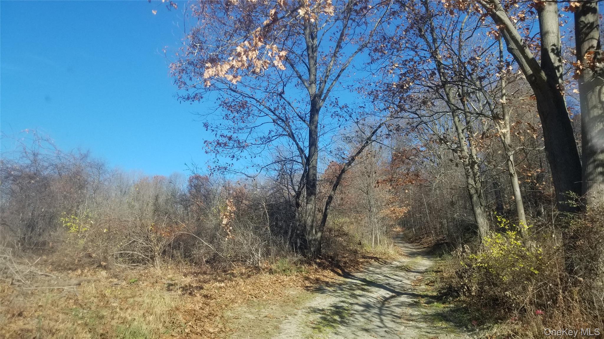 State Line Road, Westtown, NY 10998