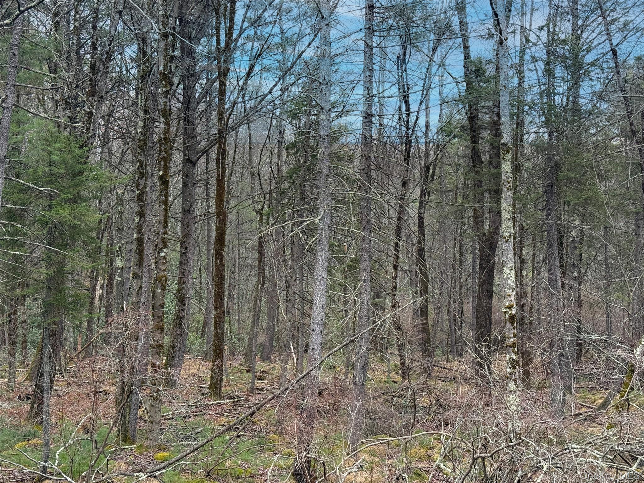 Summit Drive, Barryville, NY 12792