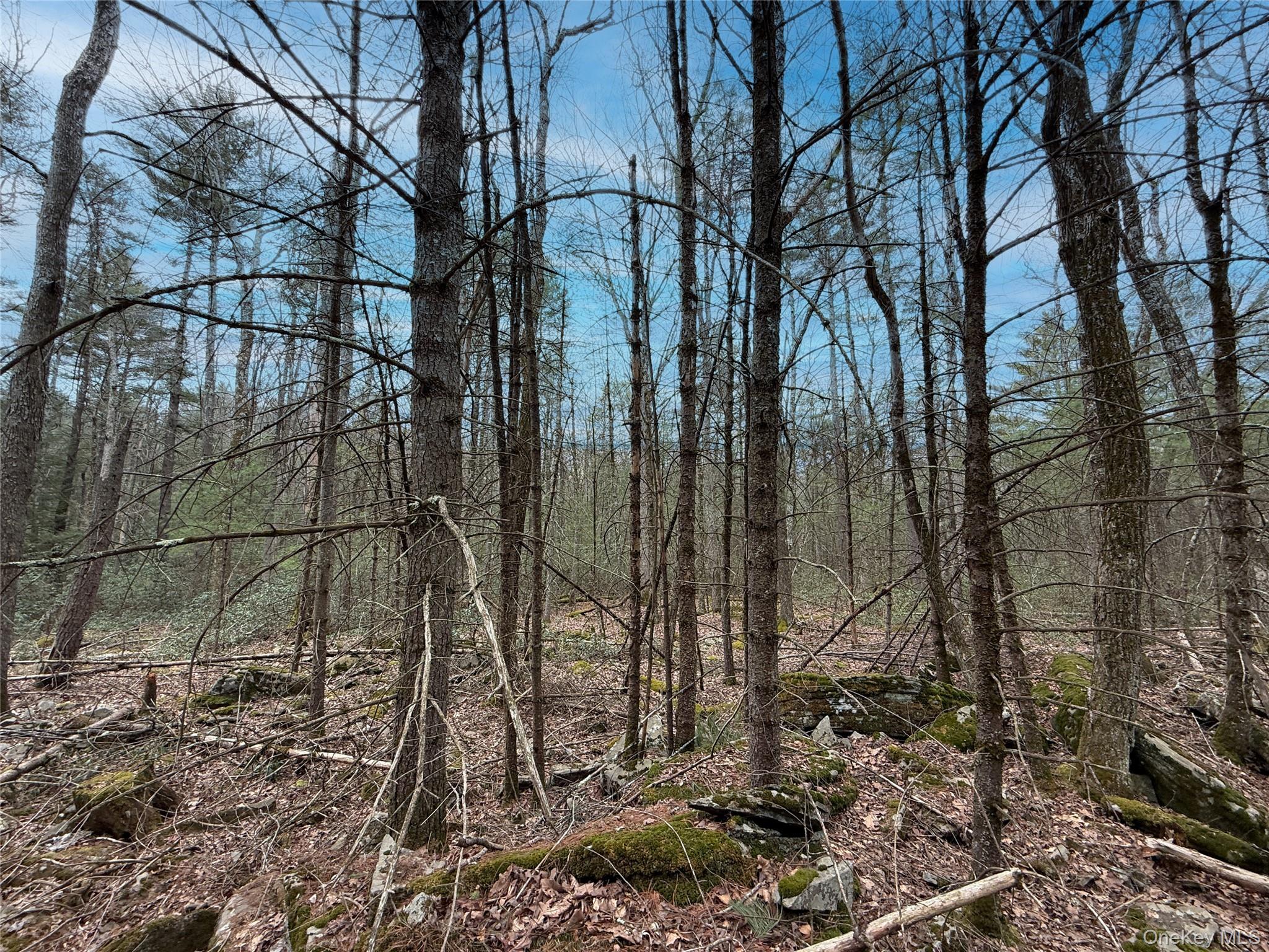 Summit Drive, Barryville, NY 12792