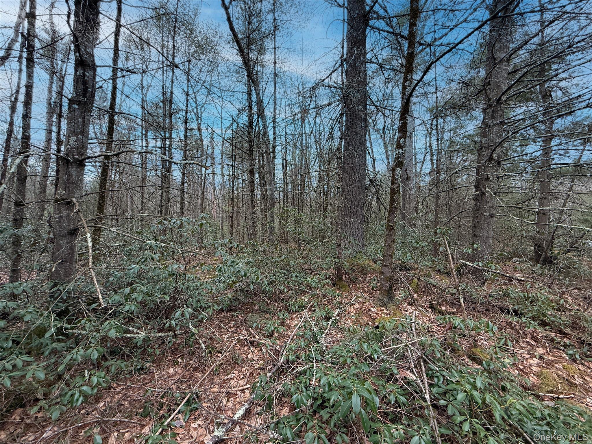 Summit Drive, Barryville, NY 12792