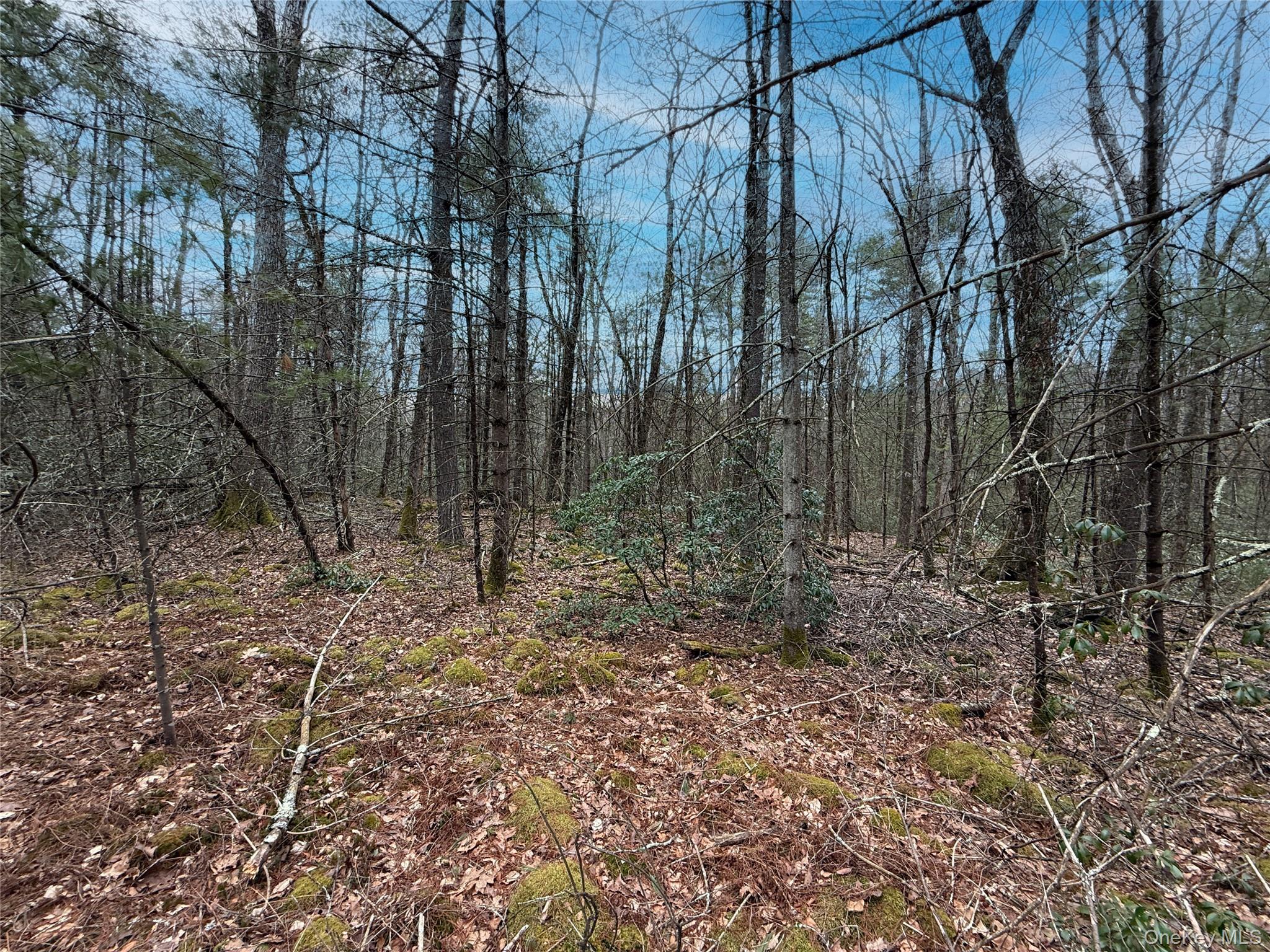 Summit Drive, Barryville, NY 12792