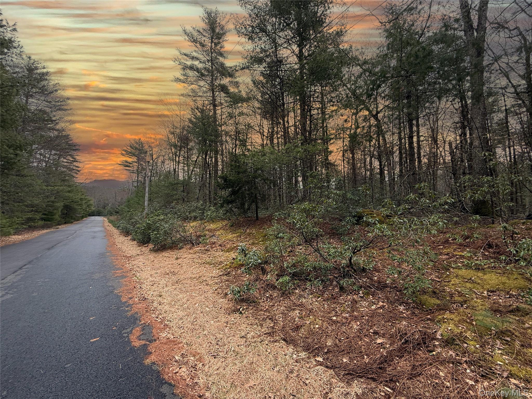 Summit Drive, Barryville, NY 12792