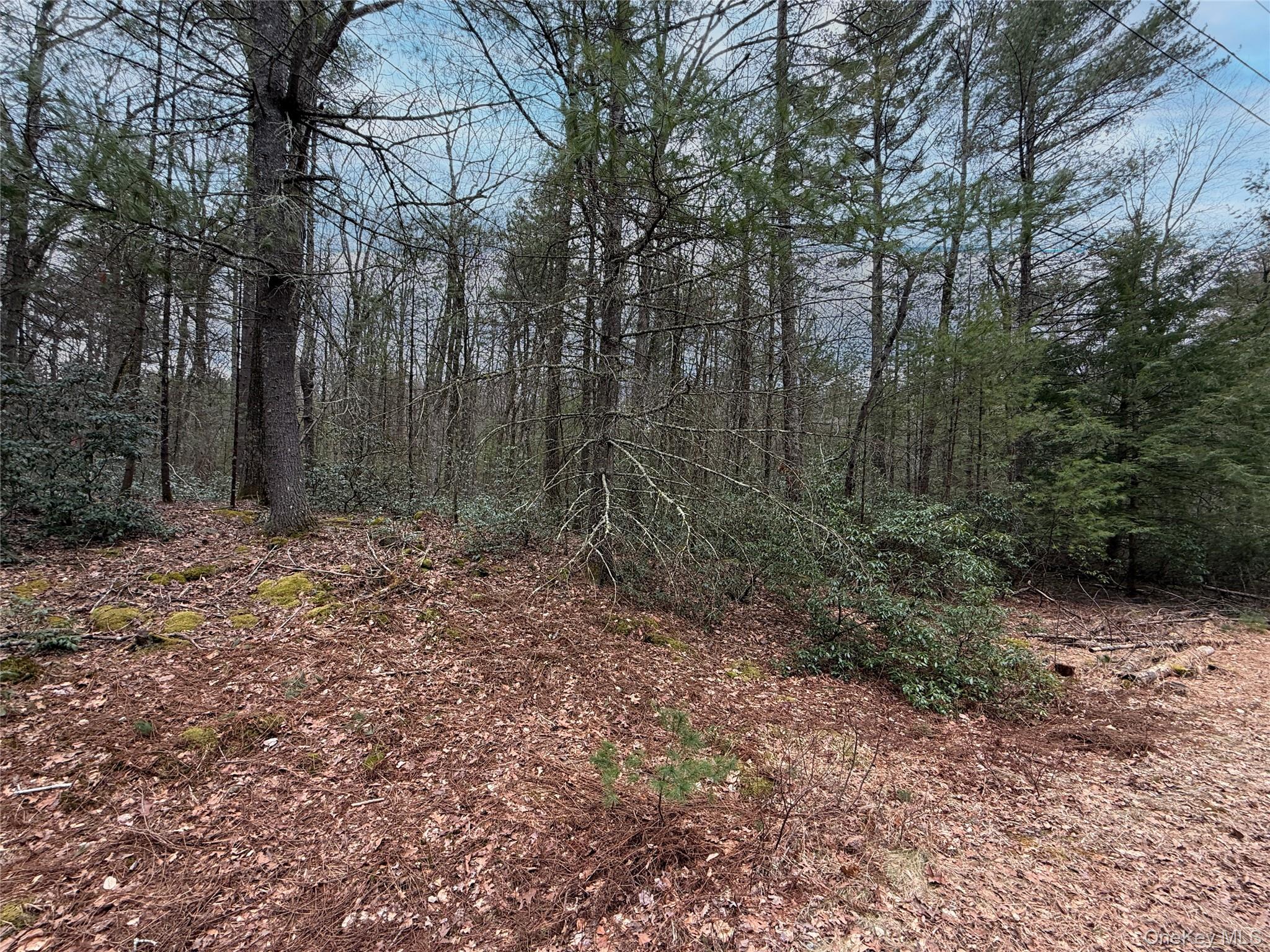 Summit Drive, Barryville, NY 12792