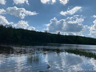 22 Ballard Street, Smallwood, NY 12778