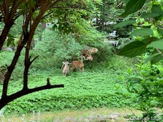 22 Ballard Street, Smallwood, NY 12778