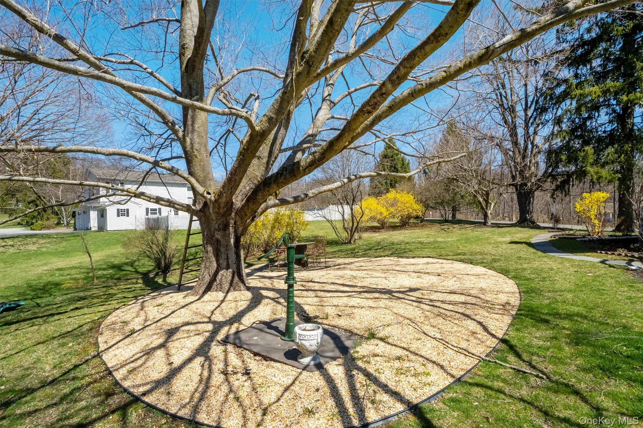 262 Cream Street, Poughkeepsie, NY 12601