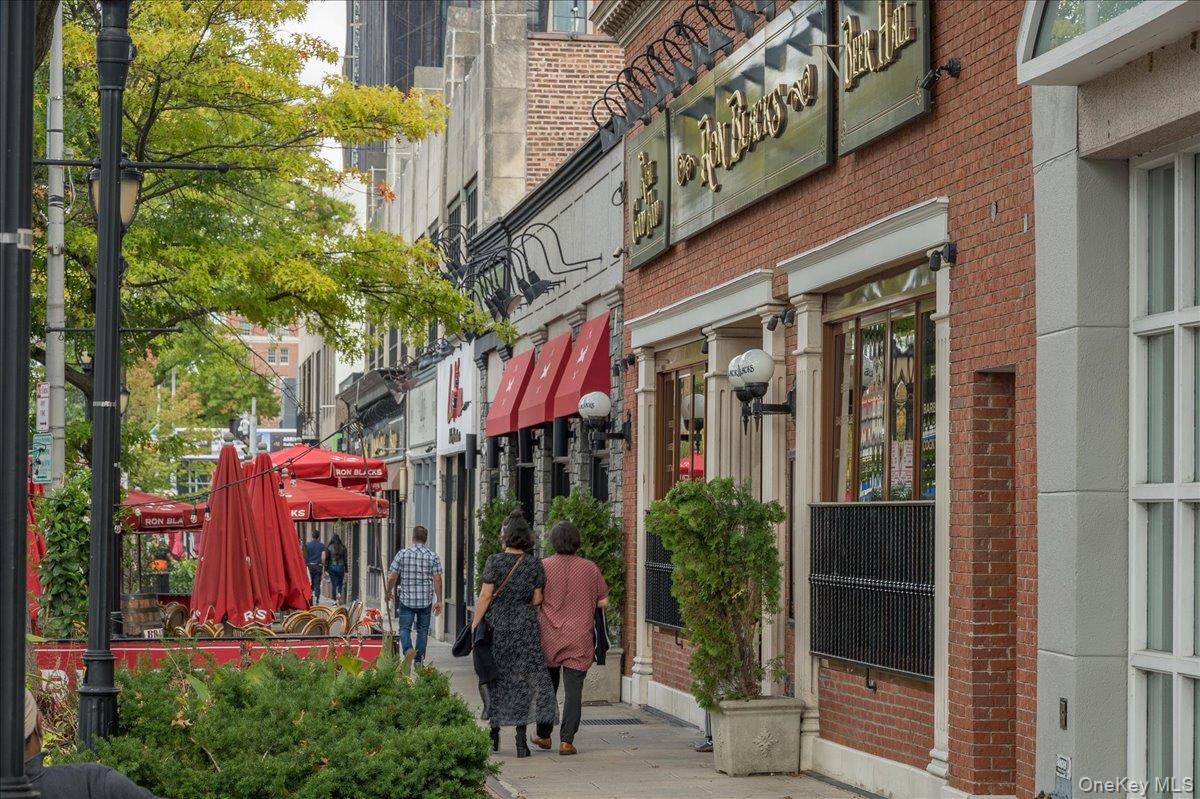 158 Davis Avenue, White Plains, NY 10605