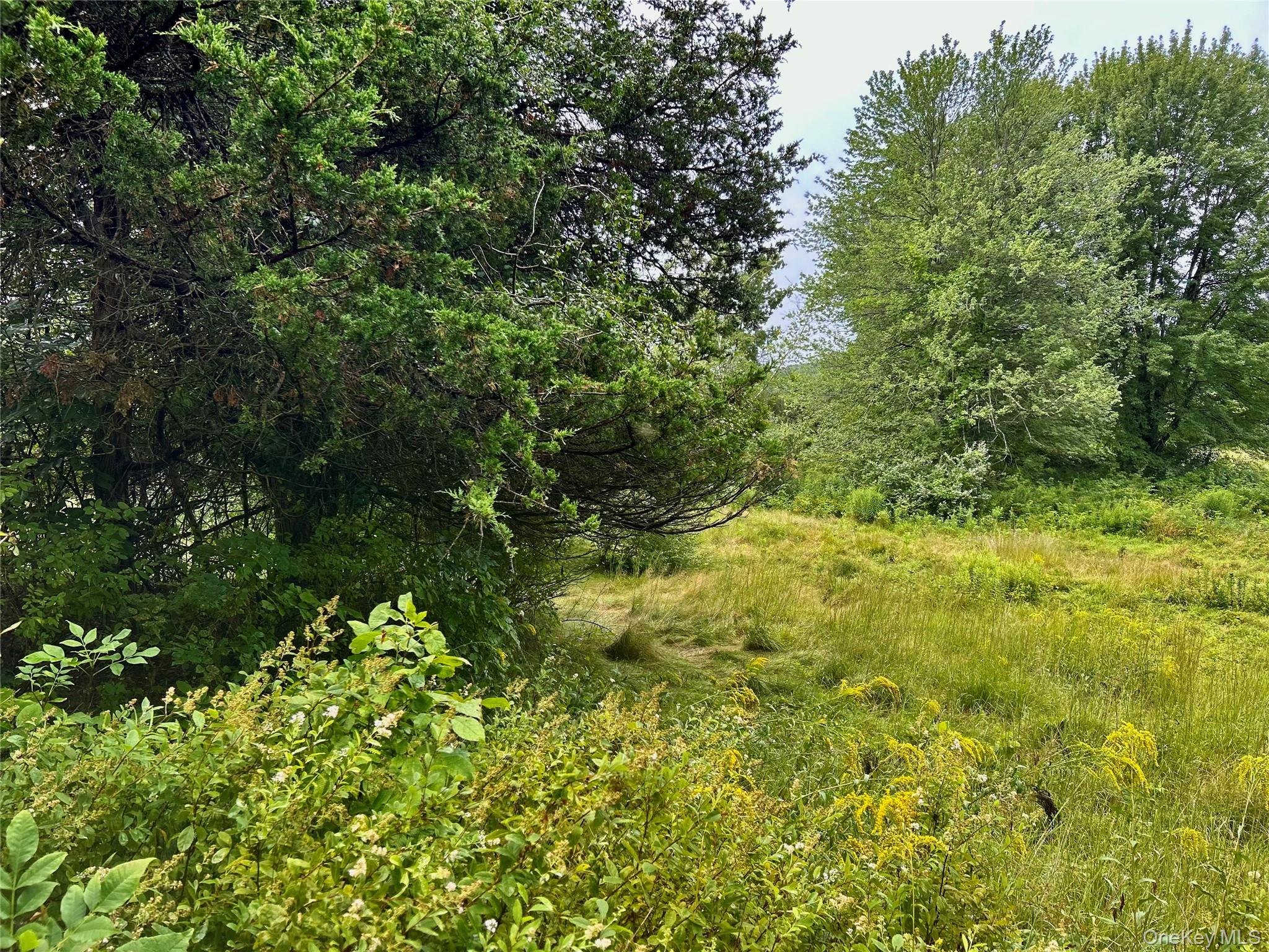 0 County Route 10, Ancram, NY 12502