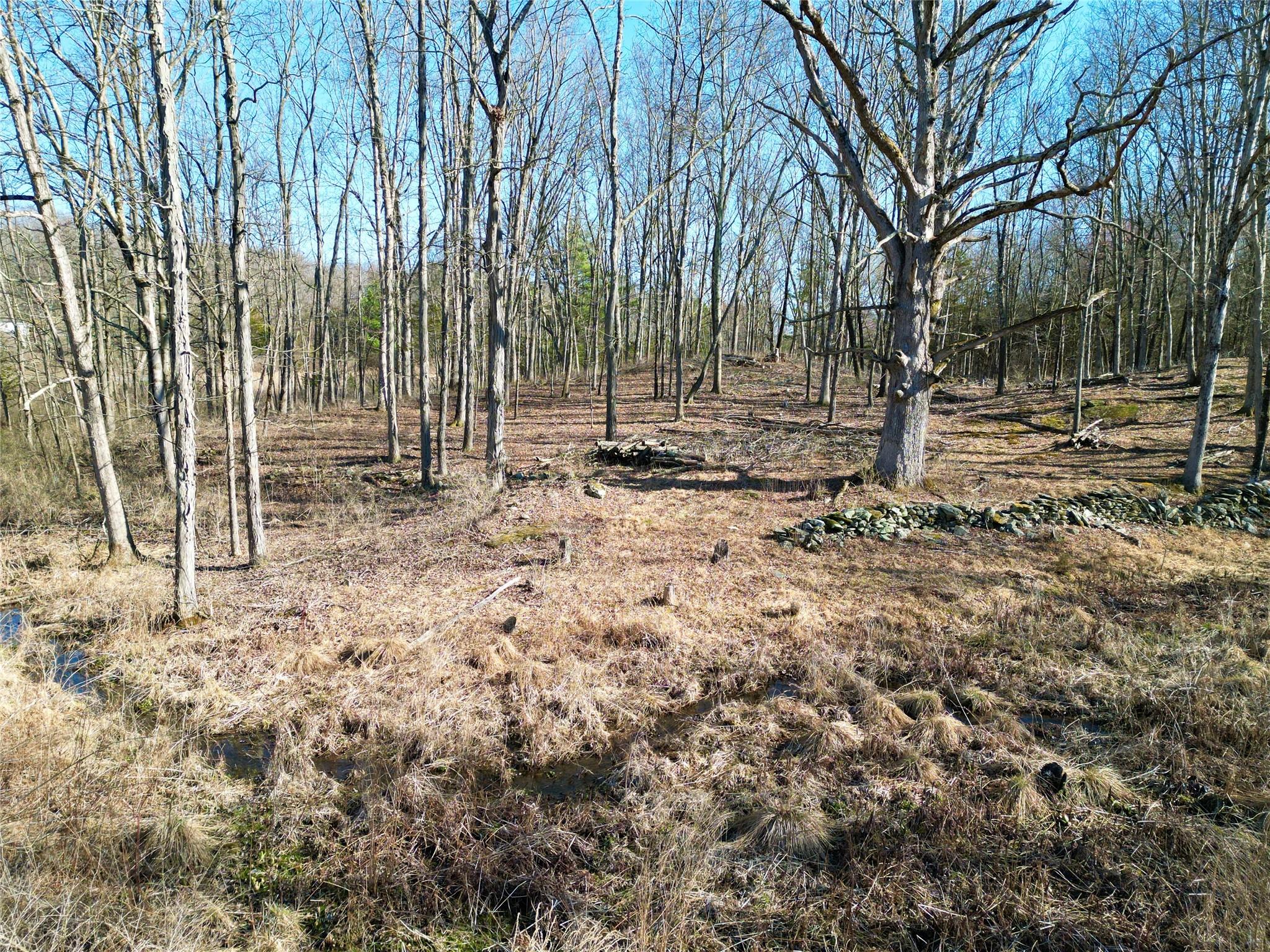 Rt-9G, Rhinebeck, NY 12572