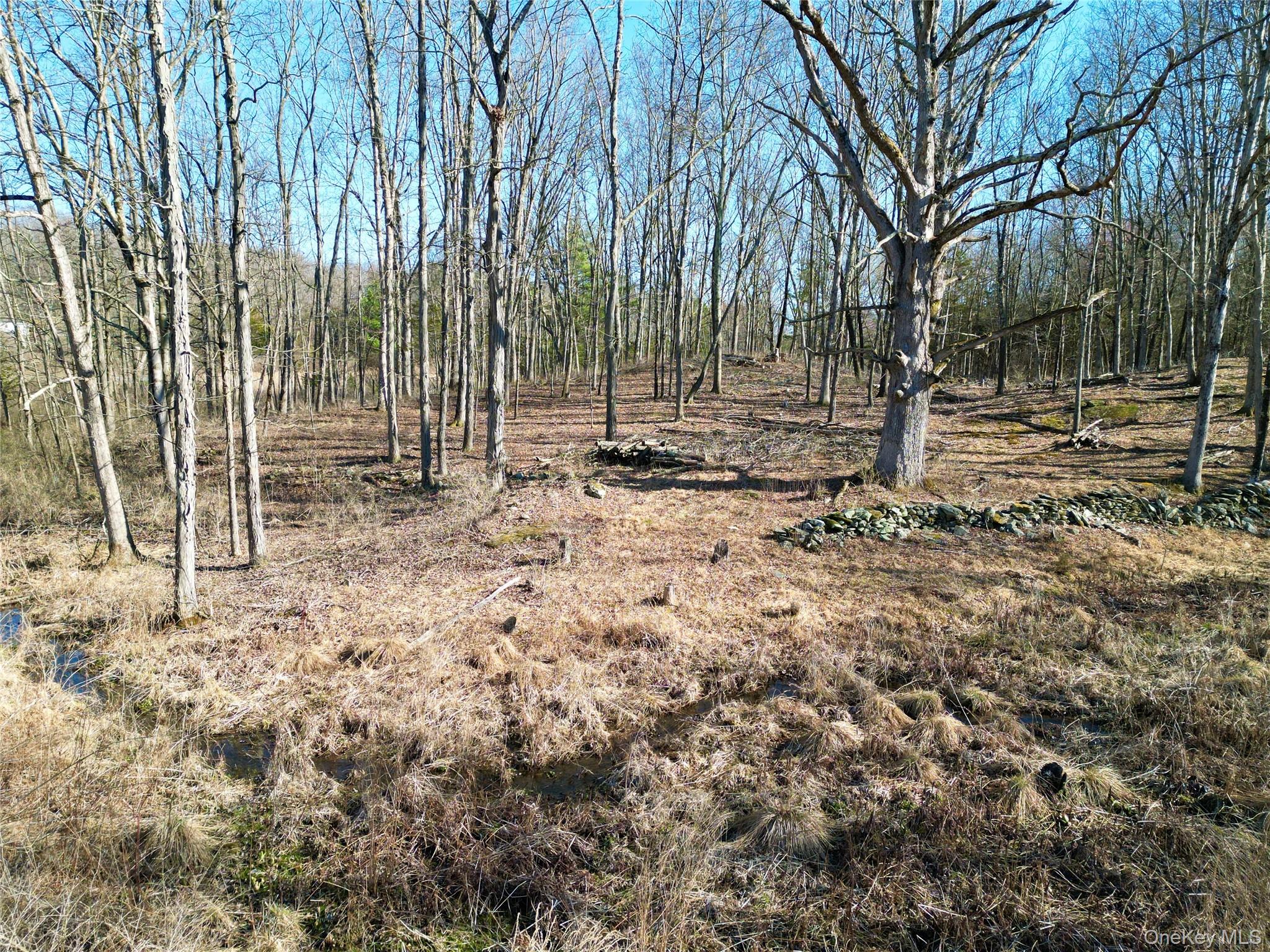 Rt-9G, Rhinebeck, NY 12572