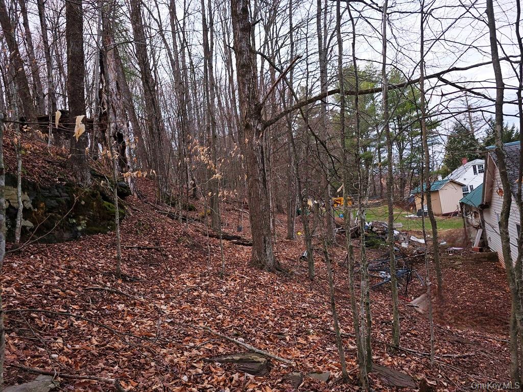 810 Benton Hollow Road, Woodbourne, NY 12788