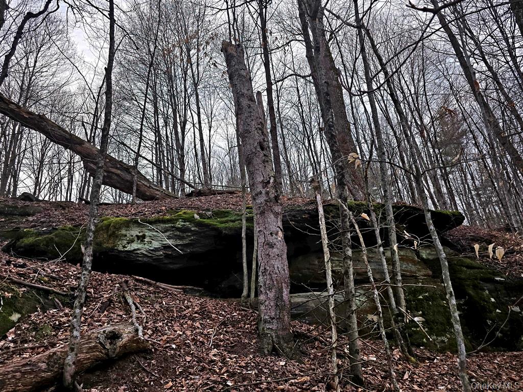 810 Benton Hollow Road, Woodbourne, NY 12788