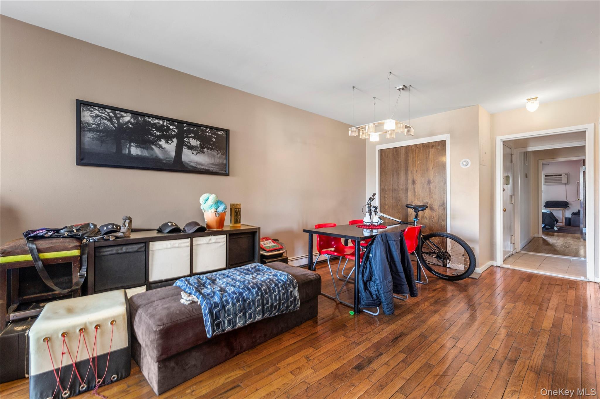 66-16 49th Avenue, Woodside, NY 11377