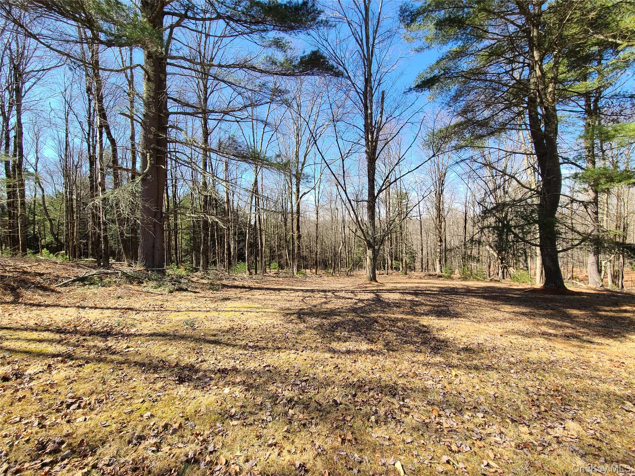 1095 State Route 17B, Mongaup Valley, NY 12762