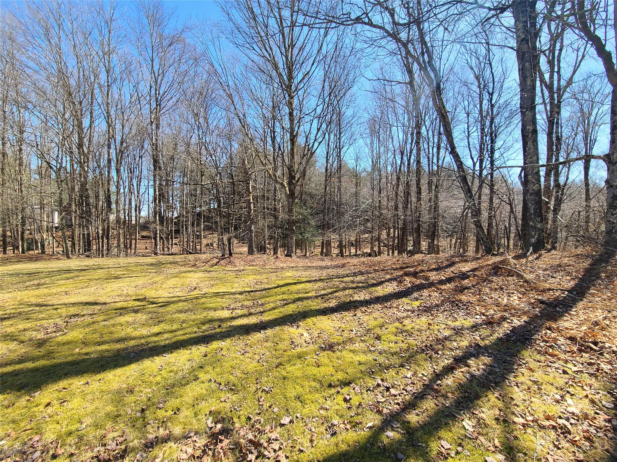 1095 State Route 17B, Mongaup Valley, NY 12762