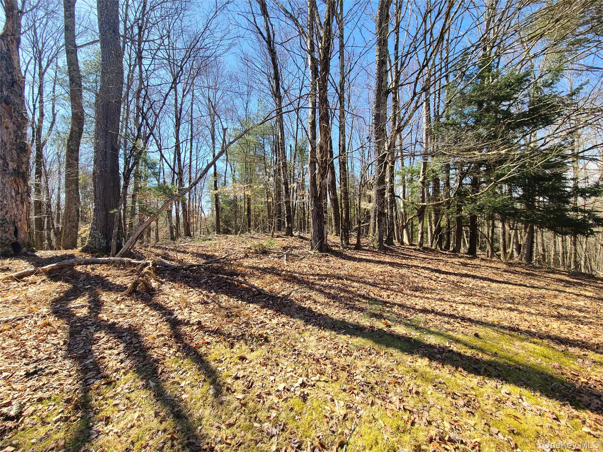 1095 State Route 17B, Mongaup Valley, NY 12762