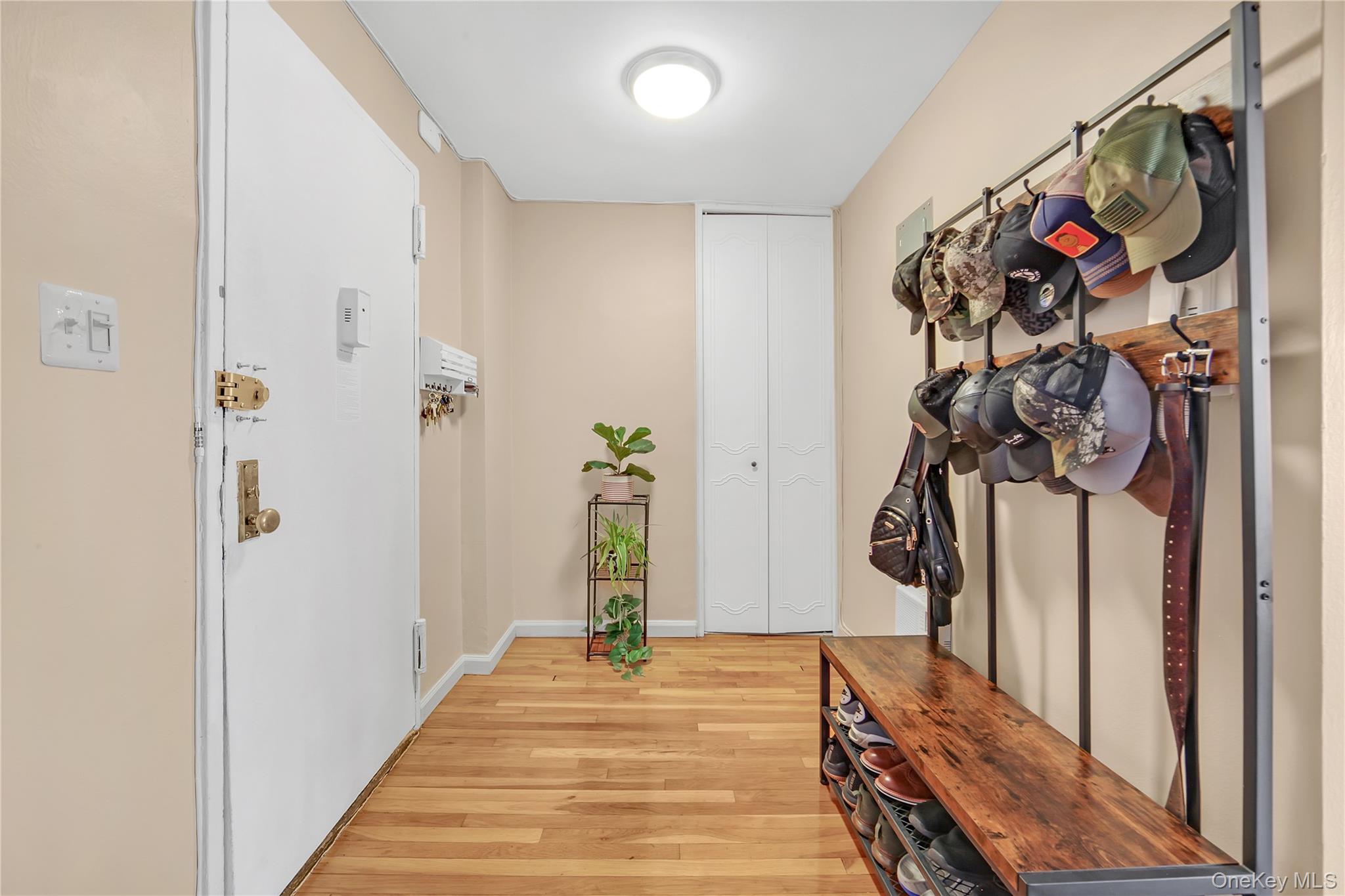 1165 54th Street # 6Z, Brooklyn, NY 11234