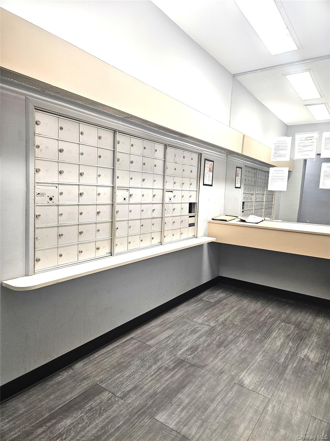 1165 54th Street # 6Z, Brooklyn, NY 11234