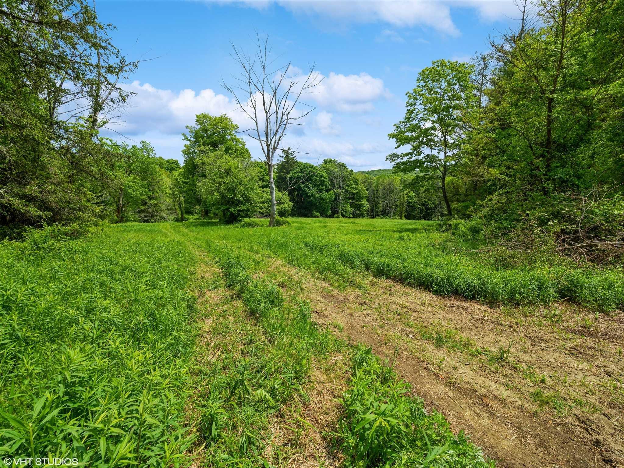 SKUNKS MISERY Lot 2 Road, Millerton, NY 12546