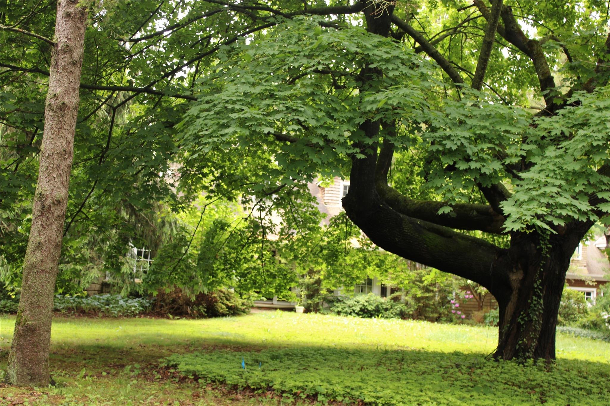 7 Locust Lane, Glen Head, NY 11545