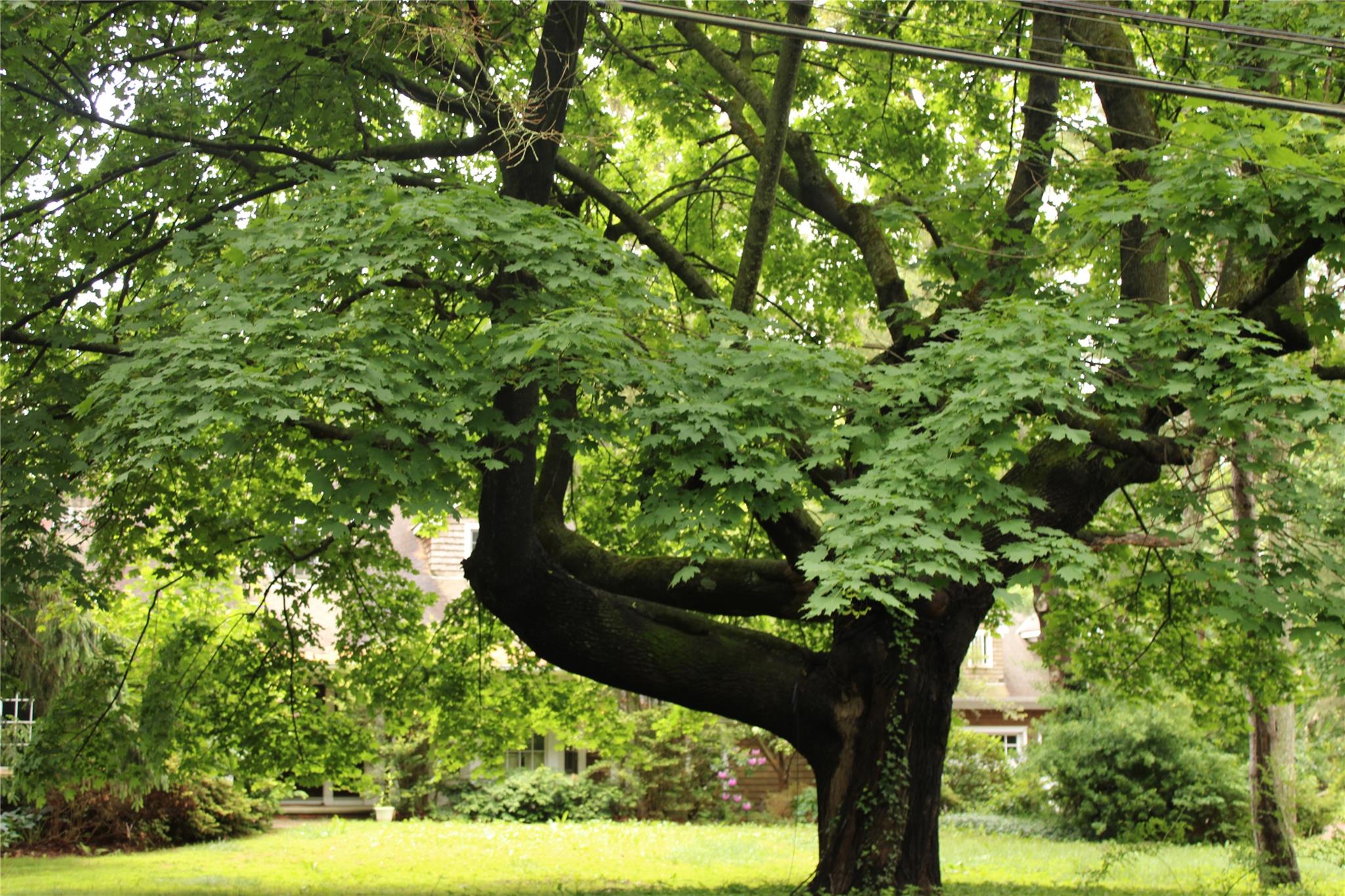 7 Locust Lane, Glen Head, NY 11545