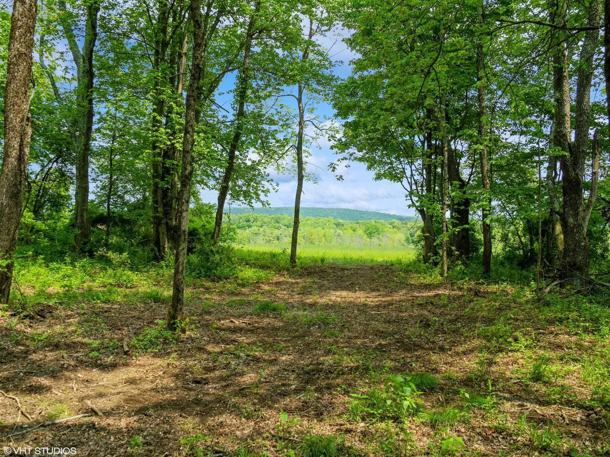 SKUNKS MISERY Lot 3 Road, Millerton, NY 12546