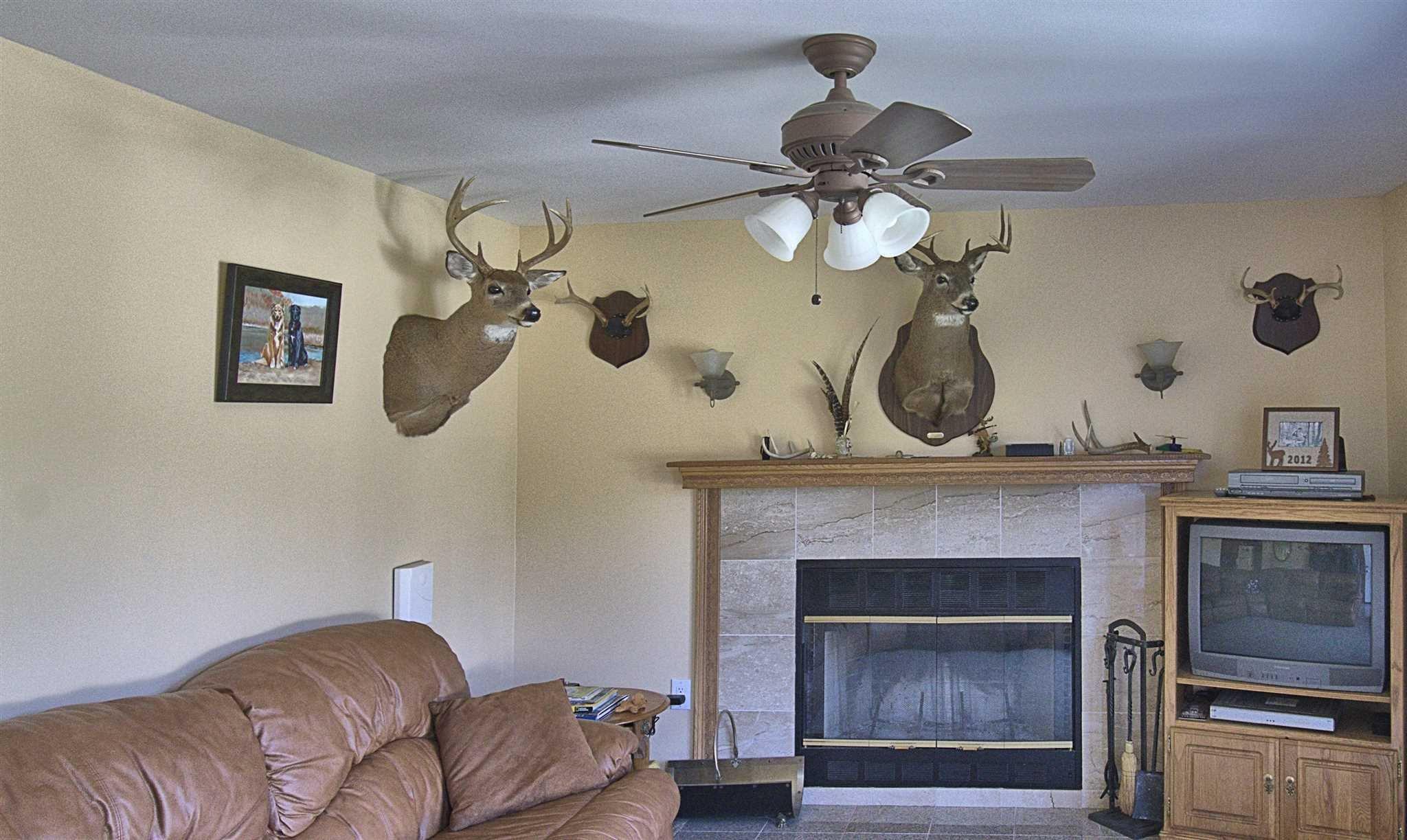 450 RT 17K, Bloomingburg, NY 12721