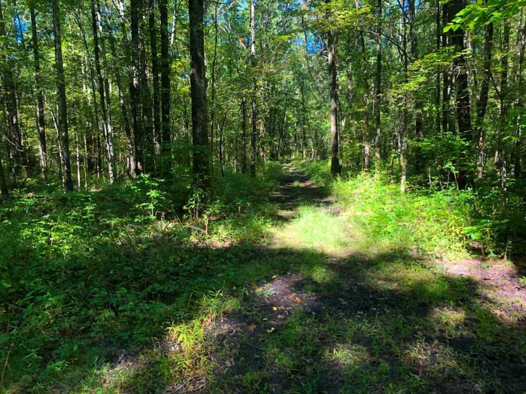 450 RT 17K, Bloomingburg, NY 12721