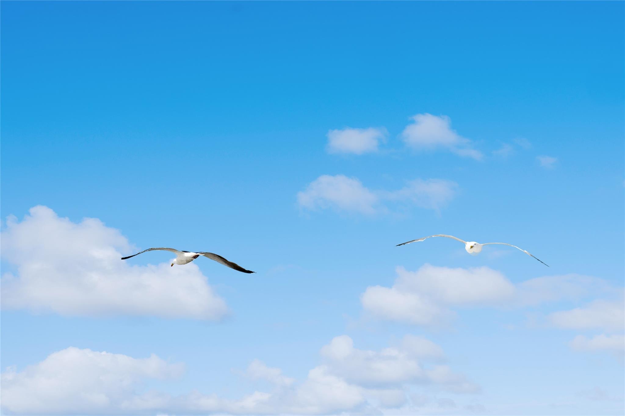 846 Dune Road, Westhampton Beach, NY 11978