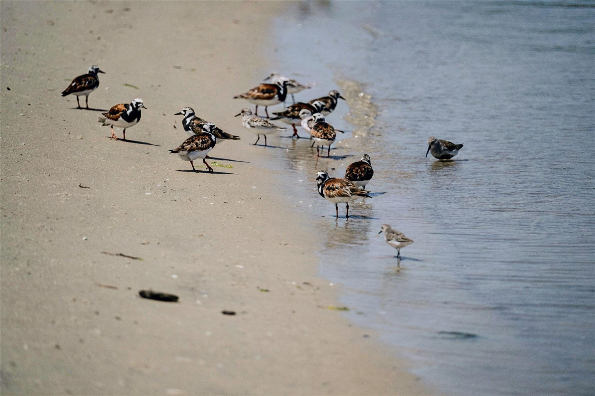 846 Dune Road, Westhampton Beach, NY 11978