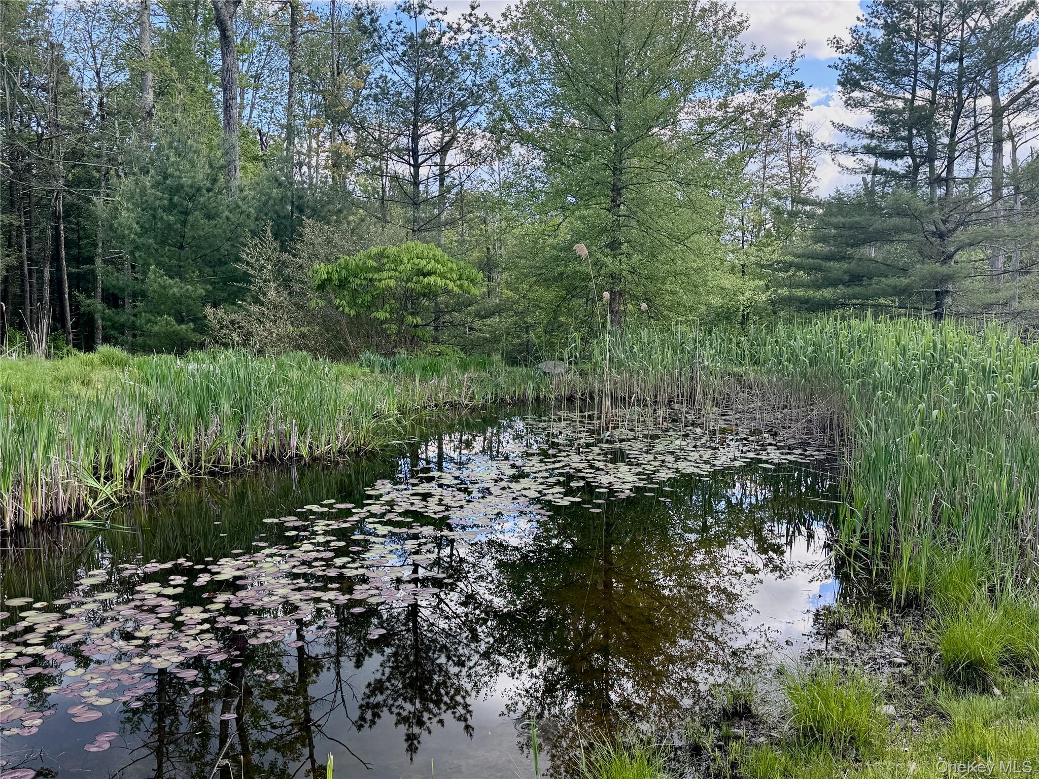 94 The Middle Way, Mount Tremper, NY 12457